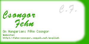 csongor fehn business card